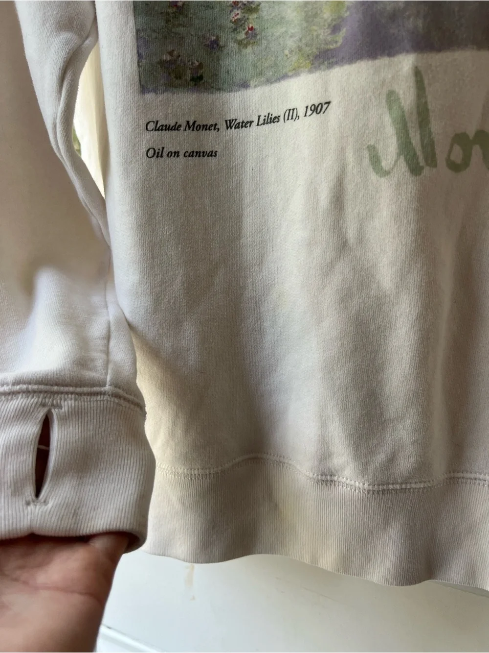 abercrombie kids Cream Monet Graphic Crewneck Sweatshirt